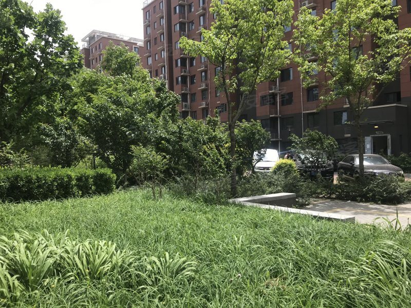 树村丽景苑,树村东路-北京树村丽景苑二手房,租房