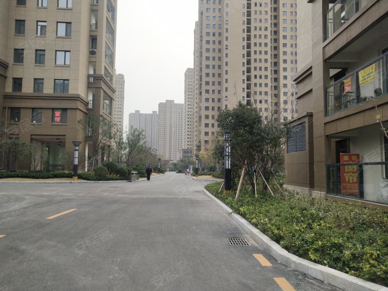 金色兰庭香堤
