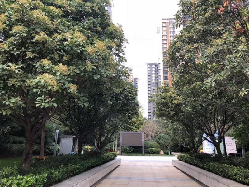鸿园梧桐苑,鸿苑路-郑州鸿园梧桐苑二手房,租房,房价
