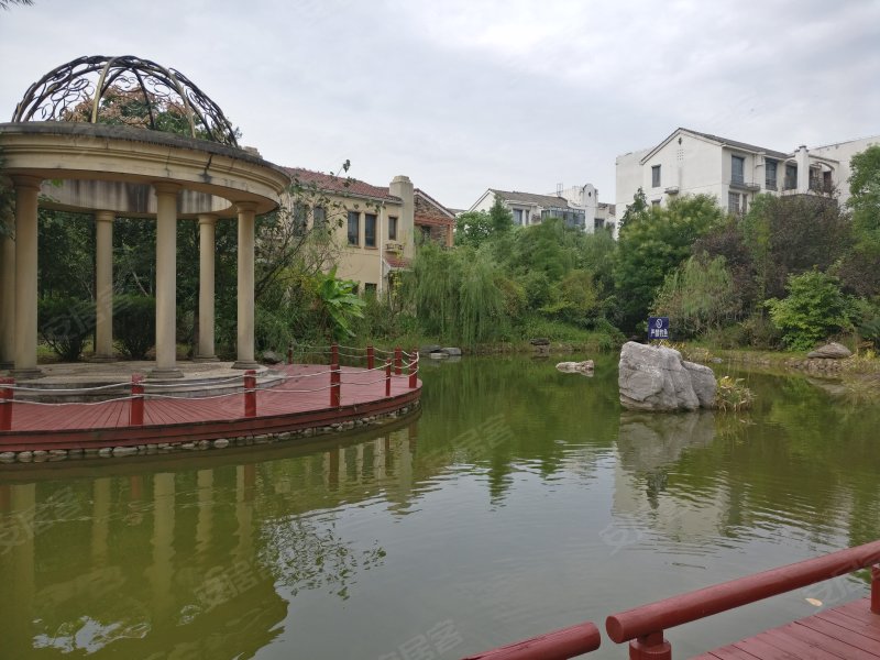中新森林海