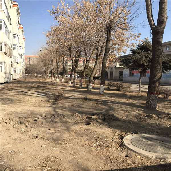 悦园小区,新城北街-大庆悦园小区二手房,租房,房价-大庆安居客