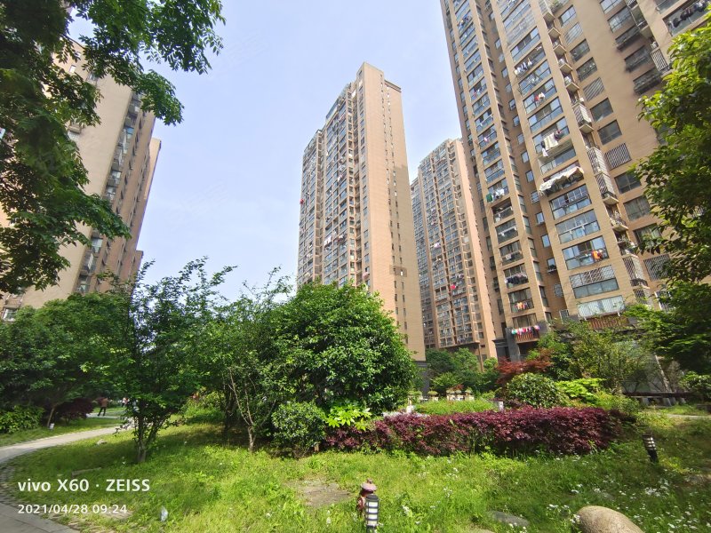 御景国际,菱湖南路271号-安庆御景国际二手房,租房