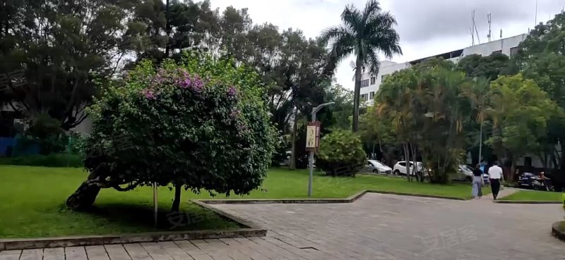 市委大院