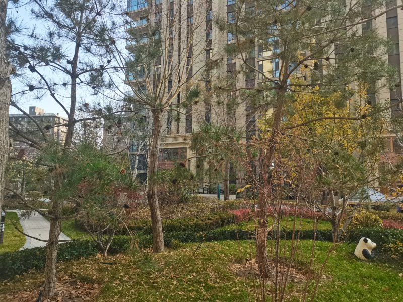 巨力公园华府,虹桥北街-银川巨力公园华府二手房,租房,房价-银川安居