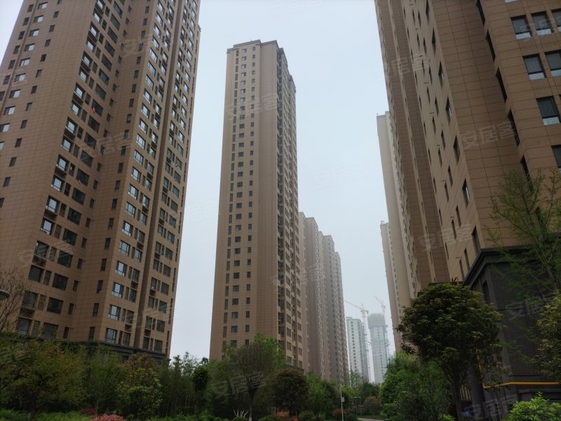 世纪景元,和谐路-宝鸡世纪景元二手房,租房,房价-宝鸡