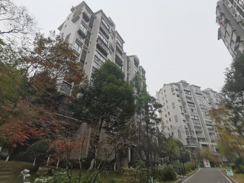 中华坊,科华路4号-绵阳中华坊二手房,租房,房价-绵阳