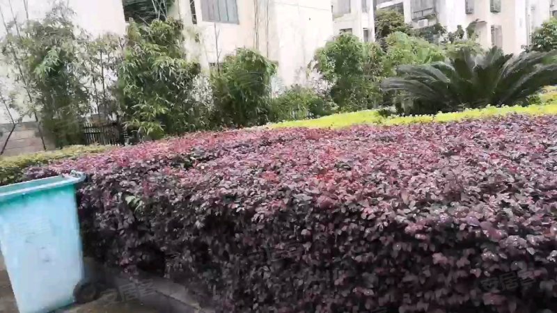 金色晓岛,朗州路1170号-常德金色晓岛二手房,租房,房价-常德安居客