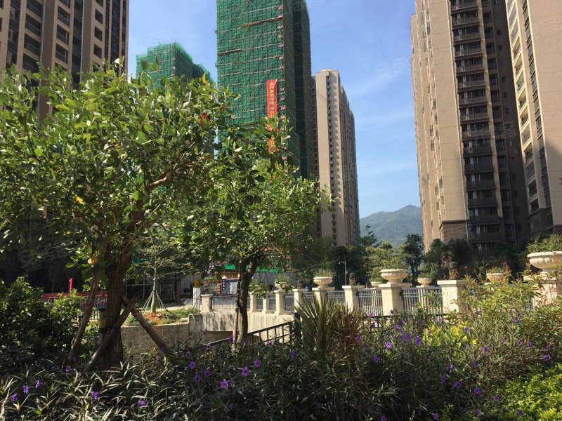 山湖海上城,惠东大道-惠州山湖海上城二手房,租房