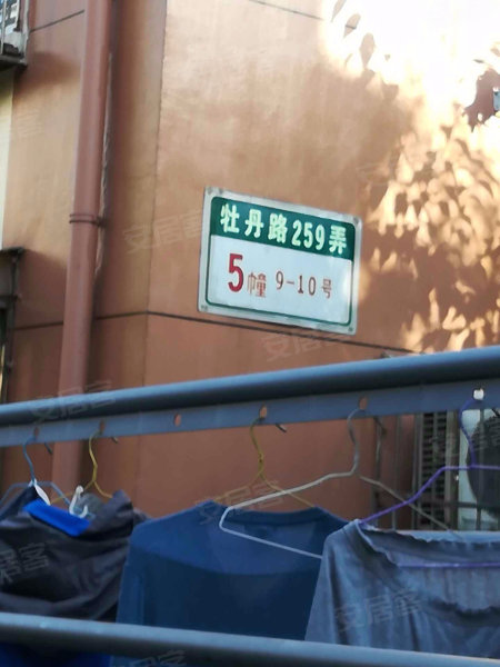 金桂小区,牡丹路258弄,牡丹路340弄,牡丹路259弄-上海金桂小区二手房