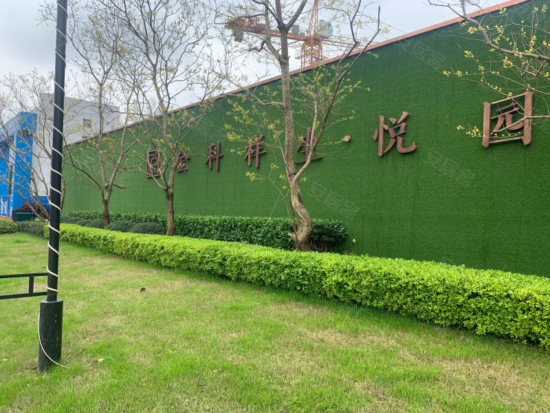 金科祥生悦园,纬四路,近经八路-镇江金科祥生悦园二手