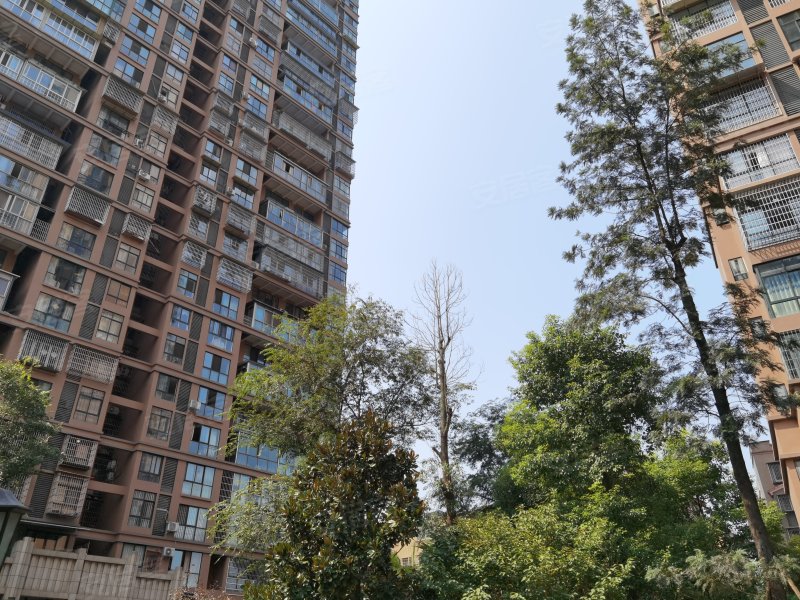 置地城,外环路,近娇子大道-资阳置地城二手房,租房