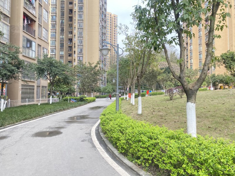 西城佳园,西城大道998号-重庆西城佳园二手房,租房