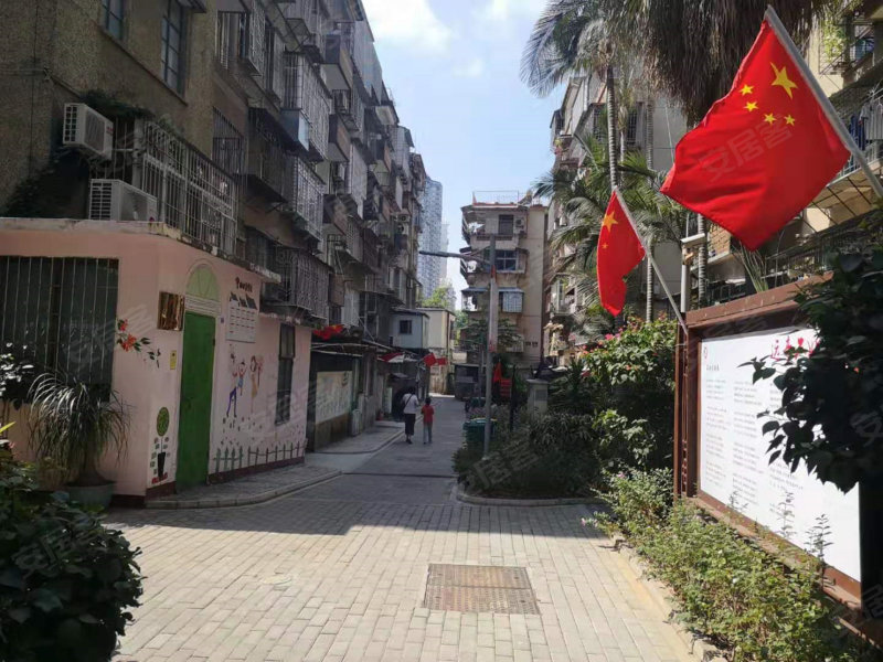 图强路小区,图强路1-17号-厦门图强路小区二手房,租房