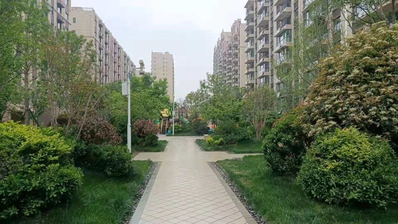 碧桂园天绘,荷花路24号-济宁碧桂园天绘二手房,租房