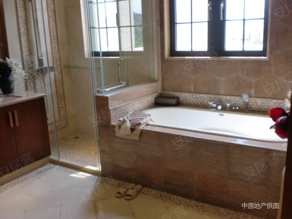 【多图】韩国人回国急售 大南山脚下 荔枝林中