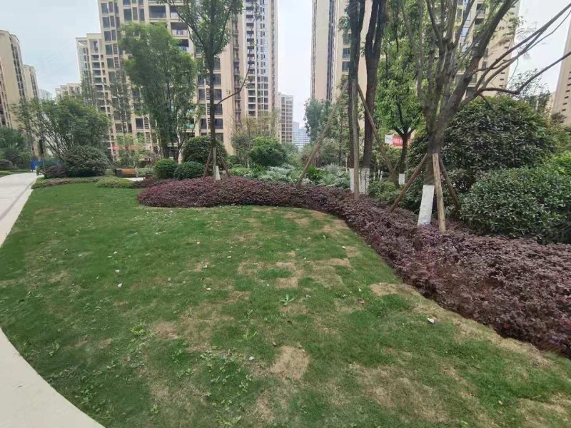 白沙翡翠城,护国路-宜宾白沙翡翠城二手房,租房,房价