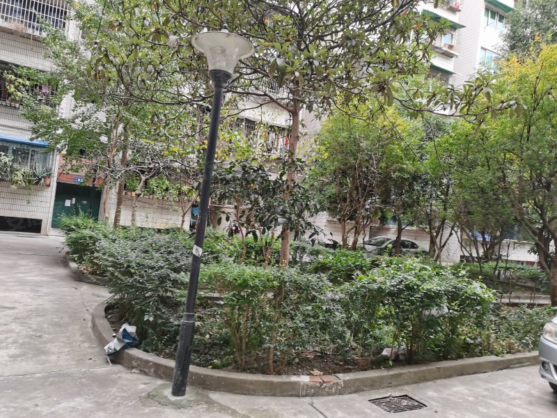 银珠小区,花园路2号-绵阳银珠小区二手房,租房,房价
