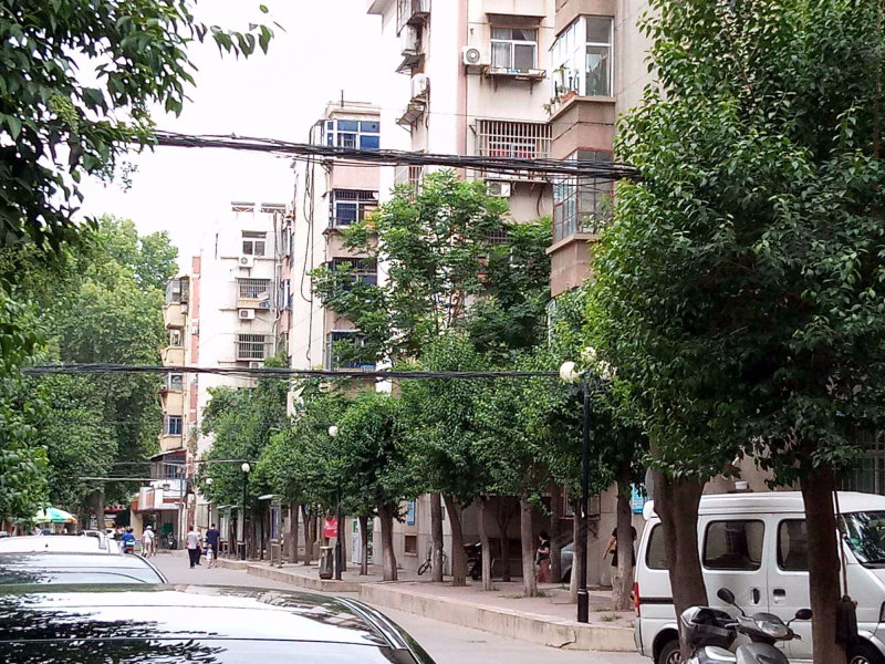 市府东院,凯旋东路80号-洛阳市府东院二手房,租房,房价-洛阳安居客