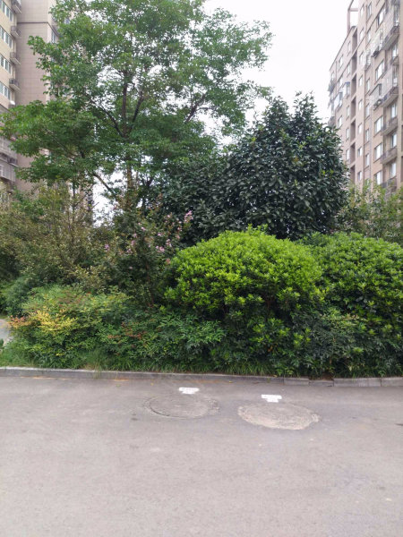 湖西雅苑f区,临湖路-徐州湖西雅苑f区二手房,租房,房价-徐州安居客