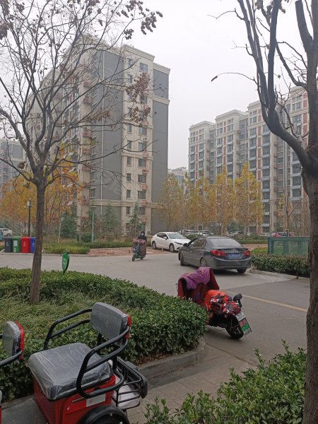 御景苑(肥城)