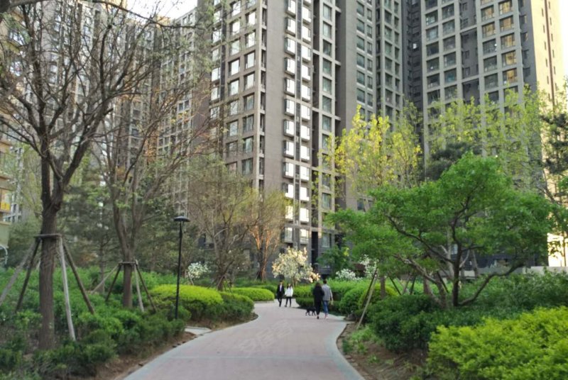 东贸国际花园