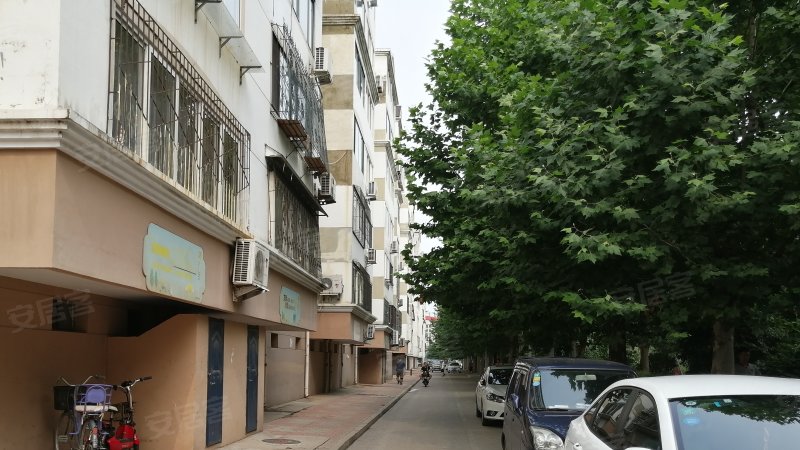 秦皇小区,秦川街15号-秦皇岛秦皇小区二手房,租房