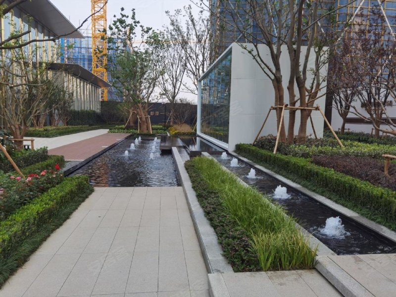 新希望锦麟芳华,东兴路99号-苏州新希望锦麟芳华二手