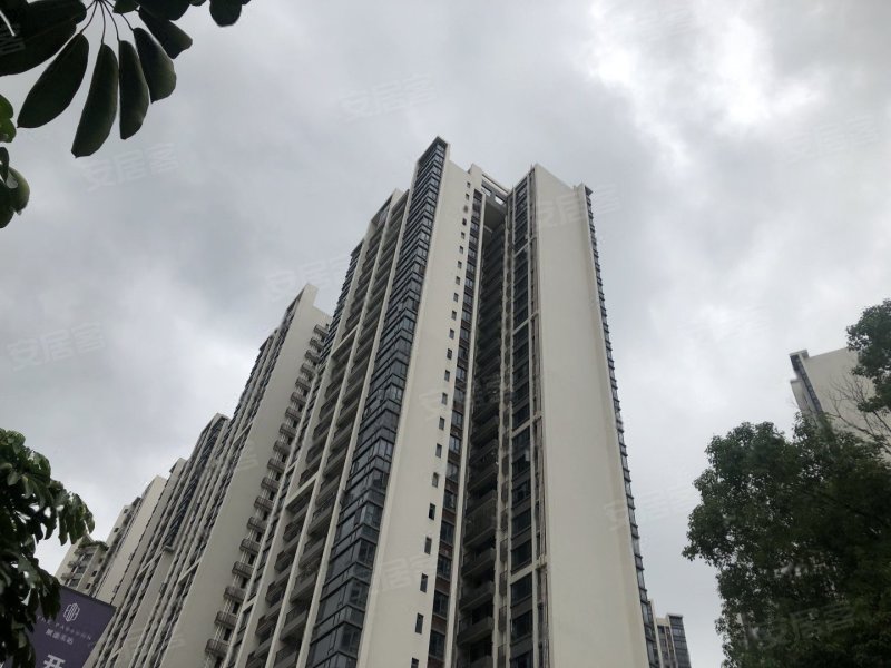 岐江东岸