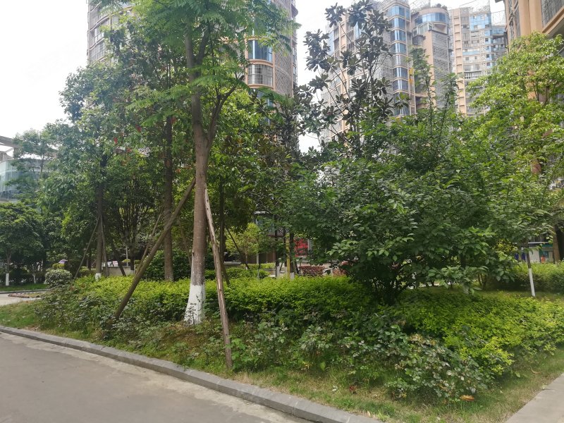 翰林名苑,渠河南路283号-遂宁翰林名苑二手房,租房,房价-遂宁安居客
