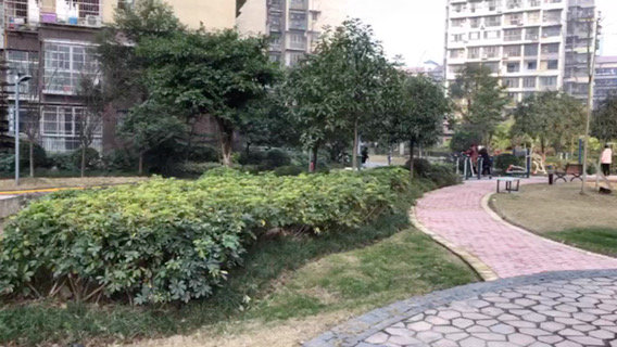 金域尚城,遂州中路977号-遂宁金域尚城二手房,租房,房价-遂宁安居客