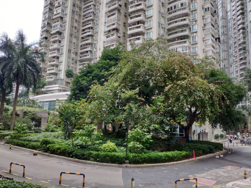 金羊花园,中山一路53-1号-广州金羊花园二手房,租房,房价-广州安居客