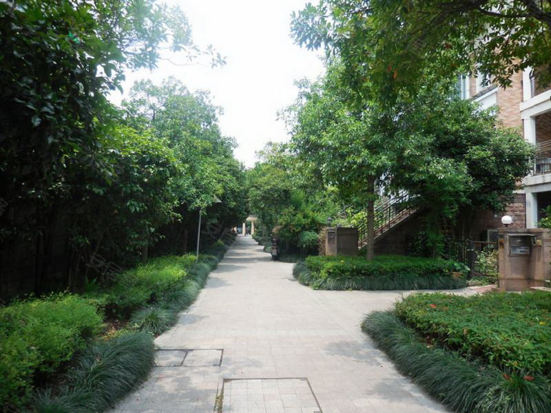 阳光地带花园,紫荆花路311号-杭州阳光地带花园二手房