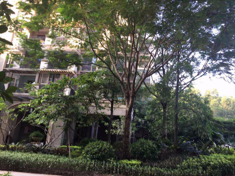 佳兆业香瑞园(南区)