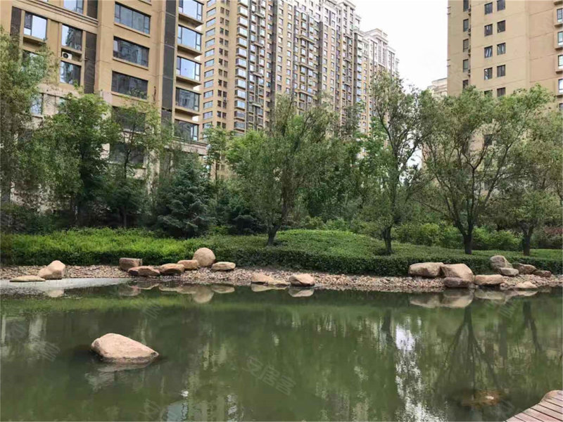 天鹅湾,群力第五大道533号-哈尔滨天鹅湾二手房,租房