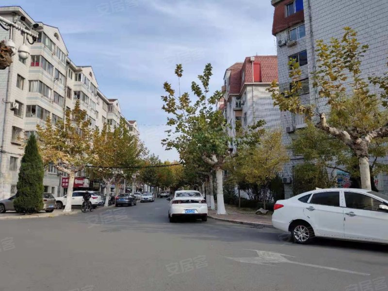 金城小区(福山),华山路-烟台金城小区(福山)二手房