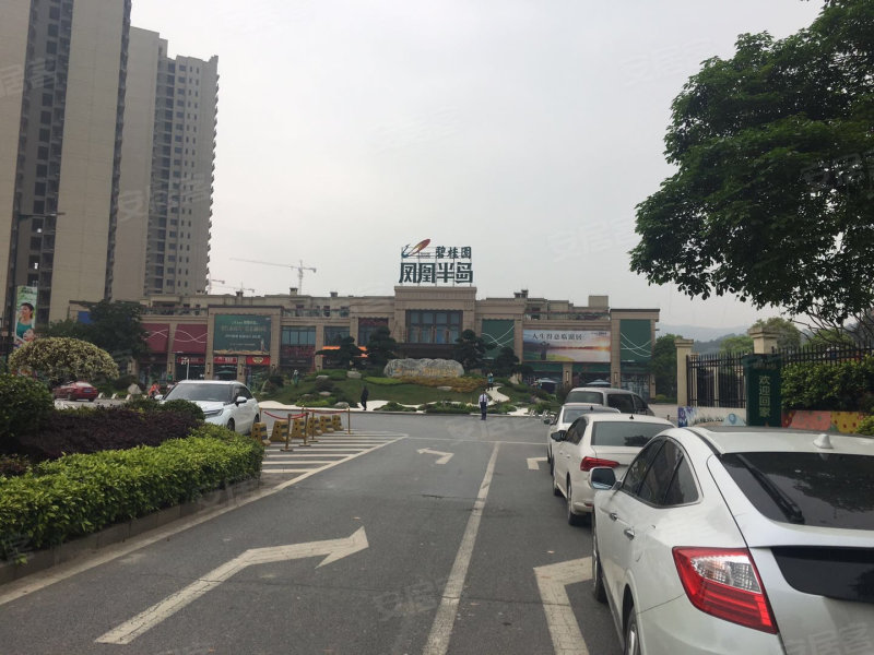 碧桂园凤凰半岛,景观大道-肇庆碧桂园凤凰半岛二手房,租房,房价-肇庆