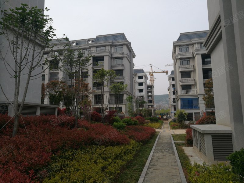 润扬首府,武夷山路,近浦东路-枣庄润扬首府二手房