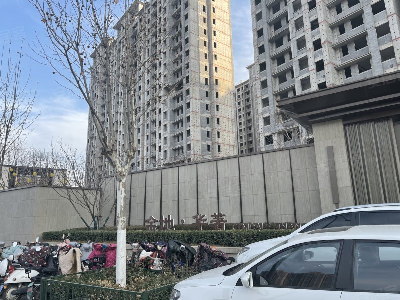金地华著