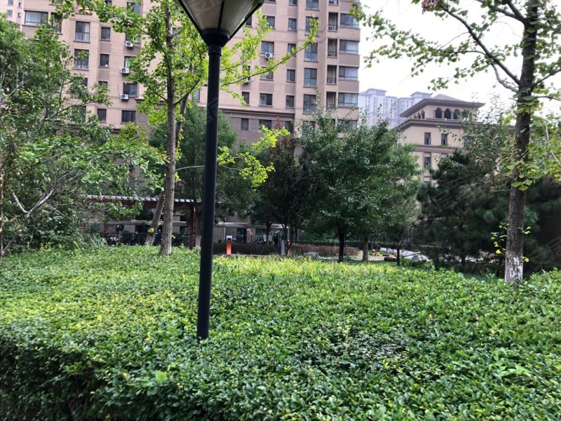 保利上河雅颂(北区),振华西道,近泉保路-衡水保利上河雅颂(北区)二手