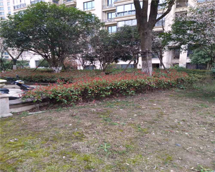 金茂四季花园,通港路111号-苏州金茂四季花园二手房