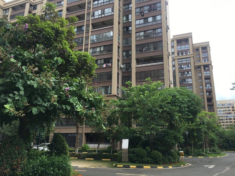 绿地城雅园,新大洲大道-海口绿地城雅园二手房,租房