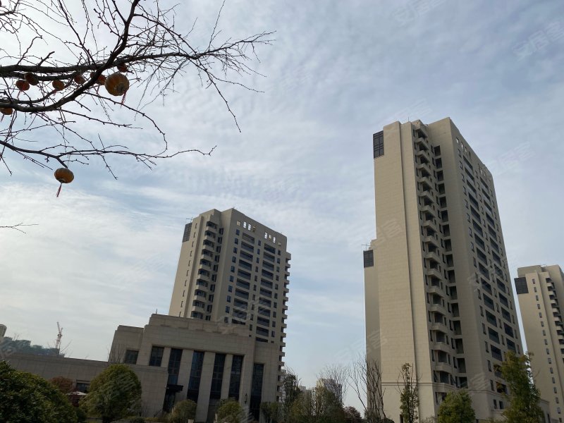 皖投新悦里,东方大道,近铜陵北路-伊犁皖投新悦里二手房,租房,房价