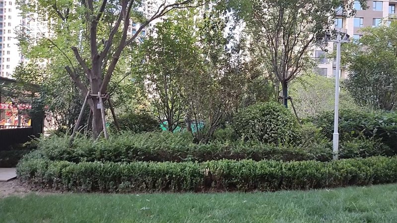绿都澜湾樟园