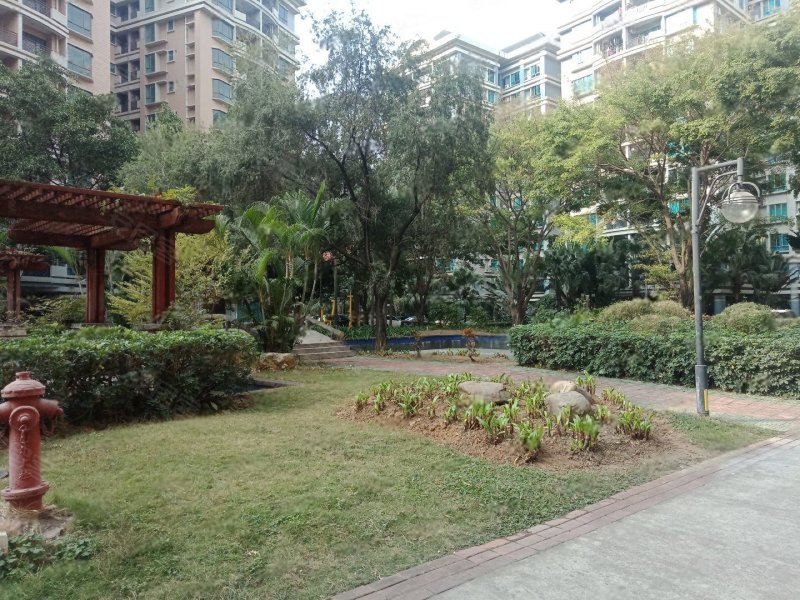 丽城花园(常平)