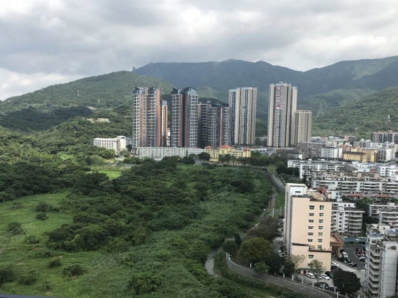 半山悦海花园,深盐路-深圳半山悦海花园二手房,租房
