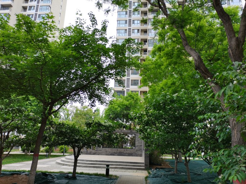 万科假日风景