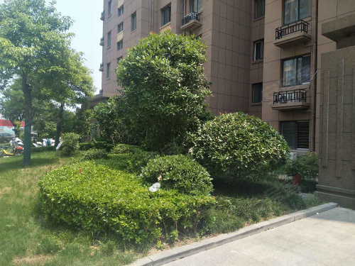 奥林春天,人民大道,近新城大道 射阳奥林春天二手房,租房,房价-射阳