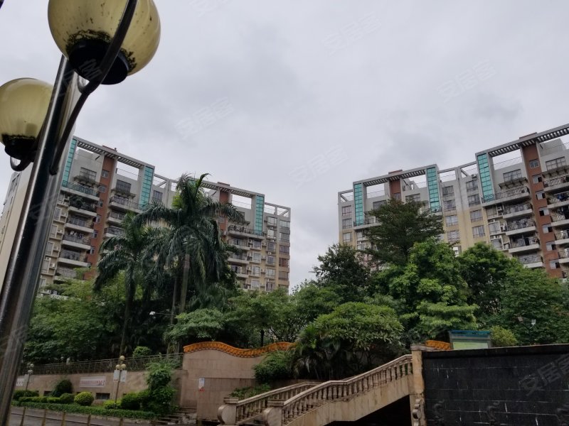 大步海滨花园,麻涌大道-东莞大步海滨花园二手房,租房,房价-东莞安居