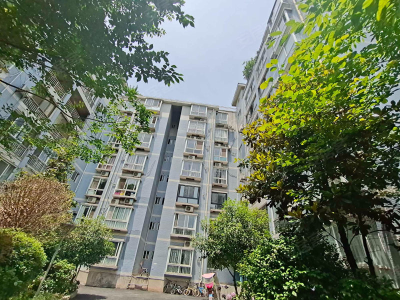 桂花苑小区,丹凤路21号-重庆桂花苑小区二手房,租房