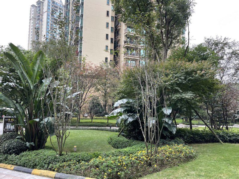 南湖郡,通达南街157号-自贡南湖郡二手房,租房,房价